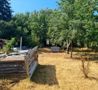 Garten bei einem Einfamilienhaus in Dolné Otrokovce mit dichtem Baumbestand.