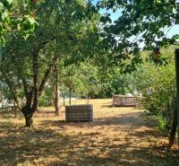 Garten in Dolné Otrokovce mit Obstbäumen bei einem Einfamilienhaus.