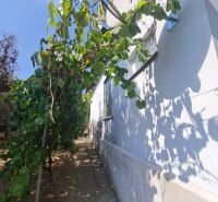Das Äußere eines Einfamilienhauses in Dolné Otrokovce mit Weinreben an der Wand.