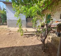 Der Garten des Einfamilienhauses in Dolné Otrokovce mit Weinreben und einem Tor.