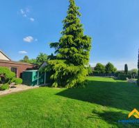Garten mit Rasen und Baum in Dolný Štál, geeignet für Grundstücke - Wohnen.
