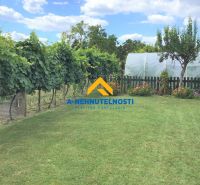 Garten bei einem Einfamilienhaus in Veľký Meder mit Rasen und Weinreben.