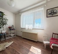 Innenraum eines Einfamilienhauses mit Holzboden, Dekorationen und Blumen.