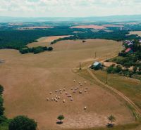 Grundstück in Podhradí mit Weiden und Schafen zu verkaufen, geeignet für Wohnbau.