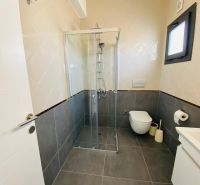 Ein Badezimmer in einem Einfamilienhaus mit Dusche, dunklen Fliesen und hellen Wandverkleidungen.