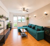 Wohnzimmer in einer Vierzimmerwohnung mit Holzboden und grünen Pflanzen.