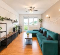 Wohnzimmer in einer 4-Zimmer-Wohnung mit Holzboden, grüner Couch und Pflanzen.