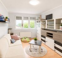 Wohnzimmer in einer 4-Zimmer-Wohnung mit Holzboden und einem Regal mit Dekorationen.
