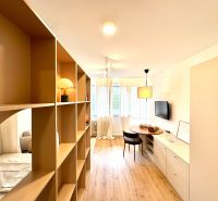 Innenraum einer 1-Zimmer-Wohnung mit einem Regal als Trennwand und einem Boden in Holzoptik.