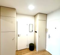 Eingangsbereich mit Holzboden und weißen Schränken in einer Einzimmerwohnung.