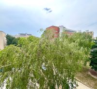 Ein Blick auf die grünen Bäume in Bratislava - Dúbravka, Sekurisova, umgeben von Wohngebäuden.