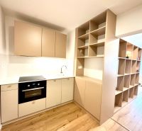 Küchenzeile mit Kochfeld und Regalen in einer Einzimmerwohnung mit Holzboden.