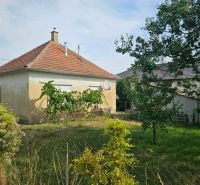 Ein Einfamilienhaus in der Dvorčanská-Straße in Dolné Krškany mit einem Rasen-Garten und Weinreben.