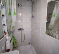 Badezimmer mit Badewanne und Dusche, Einfamilienhaus, Vorhang mit Blättermuster.