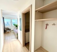 Der Flur in einer Einzimmerwohnung mit einem Boden in Holzoptik und einer eingebauten Garderobe.