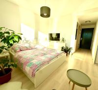 Helles Schlafzimmer in einer Einzimmerwohnung mit Pflanzen und Holzboden.