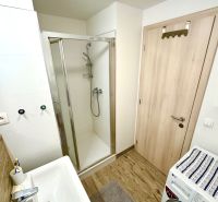 Badezimmer mit Waschbecken, Duschkabine, Waschmaschine und Boden mit Holzdekor in einer Einzimmerwohnung.