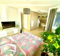 Heller Raum einer Einzimmerwohnung mit Holzboden und Pflanzen.