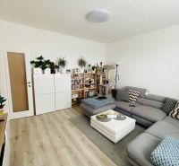 Wohnzimmer einer 3-Zimmer-Wohnung mit Sofa, Tisch, Pflanzen und Holzboden.