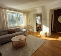 Wohnzimmer in einer Zweizimmerwohnung mit einem bequemen Sofa und einem Boden in Holzoptik.
