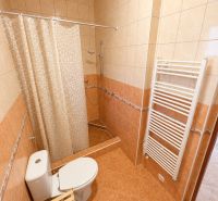 Badezimmer mit Toilette und Dusche in einem Einfamilienhaus, gefliest mit Keramikfliesen.