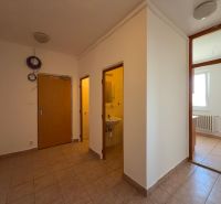 Innenraum einer 2-Zimmer-Wohnung mit Fliesen, links das Badezimmer und rechts ein Raum mit Fenster.