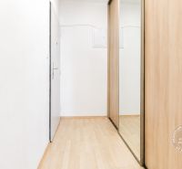 Der Flur in einer 2-Zimmer-Wohnung mit einem Boden in Holzoptik und einem Einbauschrank.