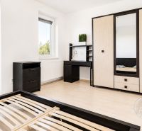 Helles Zimmer mit Holzboden in einer 2-Zimmer-Wohnung, moderne Möbel.