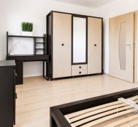 Innenraum einer 2-Zimmer-Wohnung mit Möbeln und Boden in Holzoptik.