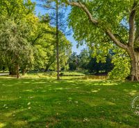 Parklandschaft mit einem Weg, einem See und Bäumen auf Vincent Šikula in Stupava.