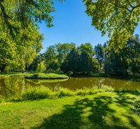 Park mit Teich in Stupava in der Vincenta-Šikulu-Straße, umgeben von Grünflächen und Bäumen.