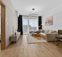 Wohnzimmer mit Sofa, Essecke, Holzboden in einer Zweizimmerwohnung.