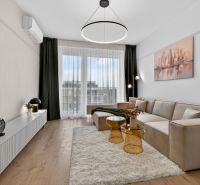 Wohnzimmer in einer 2-Zimmer-Wohnung mit Sofa, Teppich und Holzboden.