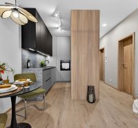 Küche und Essbereich in einer 2-Zimmer-Wohnung mit Holzboden.