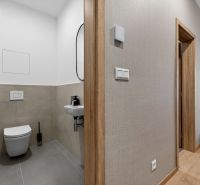 Flur und Toilette in einer 2-Zimmer-Wohnung mit Holzboden.