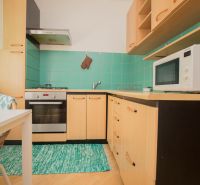 Küche in einer Einzimmerwohnung mit Gasherd und Mikrowelle, Boden mit Holzdekor.