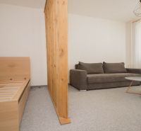 Einzimmerwohnung mit Sofa, Bett und Holzwand, heller Raum.