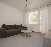 Wohnzimmer einer Einzimmerwohnung mit grauem Sofa, Tisch und Vorhängen.