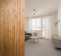 Wohnbereich in einer Einzimmerwohnung mit Holzwand und Fenster mit weißen Vorhängen.