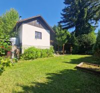Der Garten der Hütte in Žilina mit Rasen und hohen Bäumen im Hintergrund.