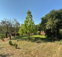 Der Garten bei der Hütte in der Vinica-Straße in Lučenec, voller Bäume und grünem Rasen.