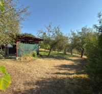Ein Garten mit einer Hütte, umgeben von Bäumen, in der Straße Vinica in Lučenec.