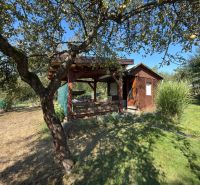 Ein Ferienhaus im Weinberg in Lučenec, umgeben von Grün und Obstbäumen.