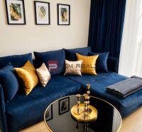 Blaues Sofa mit Kissen, Couchtisch, Dekorationen, Boden mit Holzdekor.