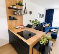 Küche mit Insel und Wohnzimmer in einer 2-Zimmer-Wohnung mit Holzboden.