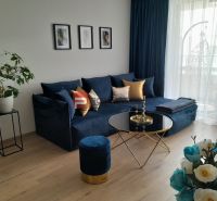Wohnzimmer in einer Zweizimmerwohnung mit einem blauen Sofa, einem Boden in Holzoptik und Dekorationen.