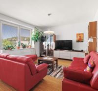 Wohnzimmer mit stilvollen roten Möbeln, Holzboden, Grünpflanzen und Fernseher.