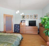 Schlafzimmer mit Schrank, Fernseher, Holzboden und großer Pflanze in einer Vierzimmerwohnung.