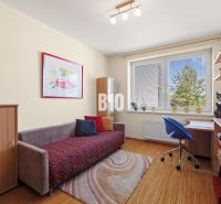 Zimmer in einer 4-Zimmer-Wohnung mit Holzboden, Sofa und Schreibtisch.