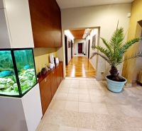 Innenraum eines Einfamilienhauses mit Aquarium, Pflanze in einem blauen Blumentopf und Fliesen.